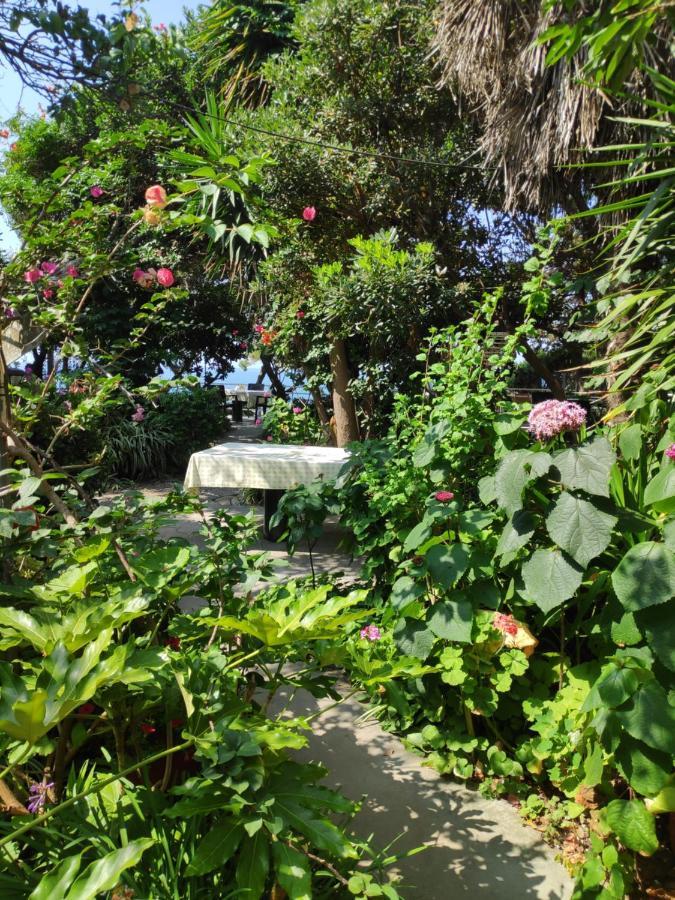 Apartamento Alonaki Bay Halikounas Exterior foto